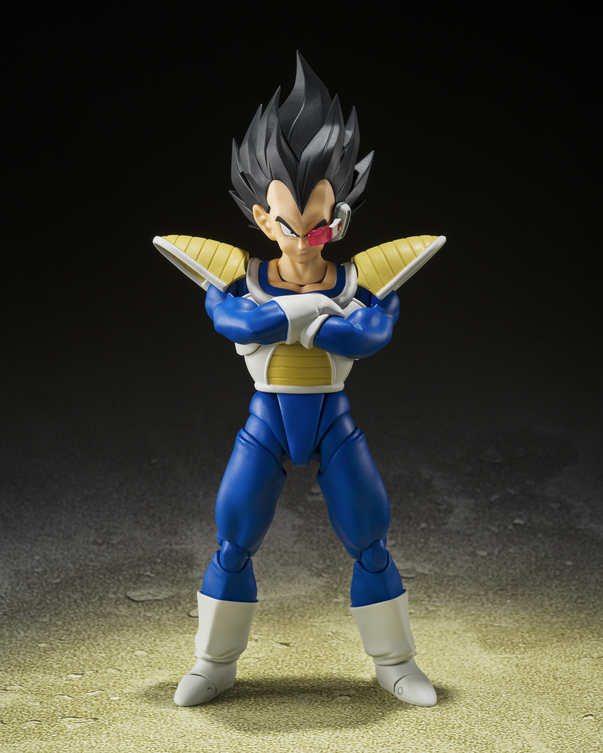 Vegeta (24000 Power Level) "Dragon Ball Z", TAMASHII NATIONS S.H.Figuarts Premium Bandai Exclusive