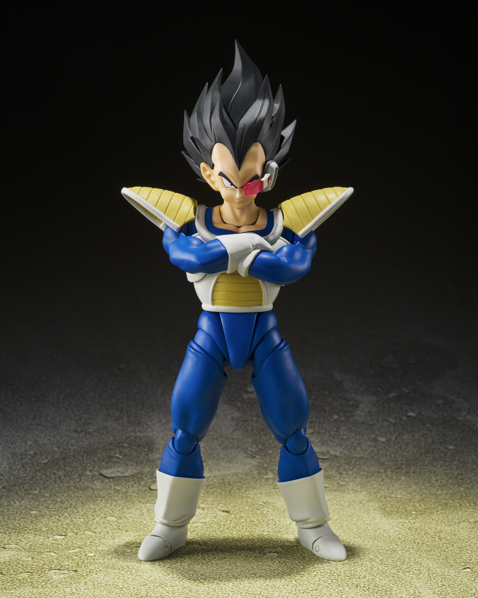 Vegeta (24000 Power Level) "Dragon Ball Z", TAMASHII NATIONS S.H.Figuarts Premium Bandai Exclusive